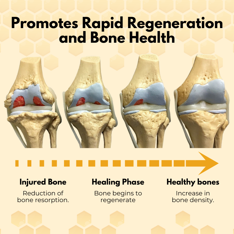 Ízületi kezelő tapaszok méhméreggel