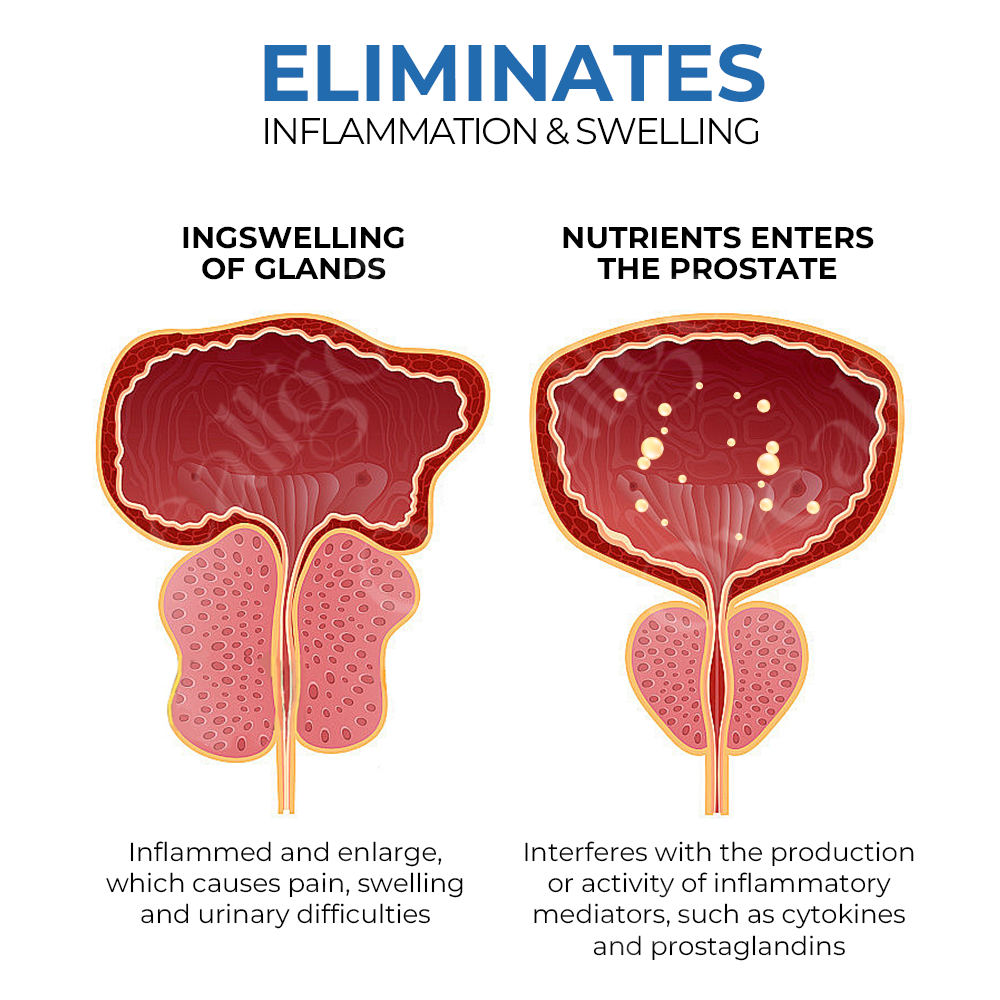 BeeBoom orr-inhalátor a prosztata egészségéért